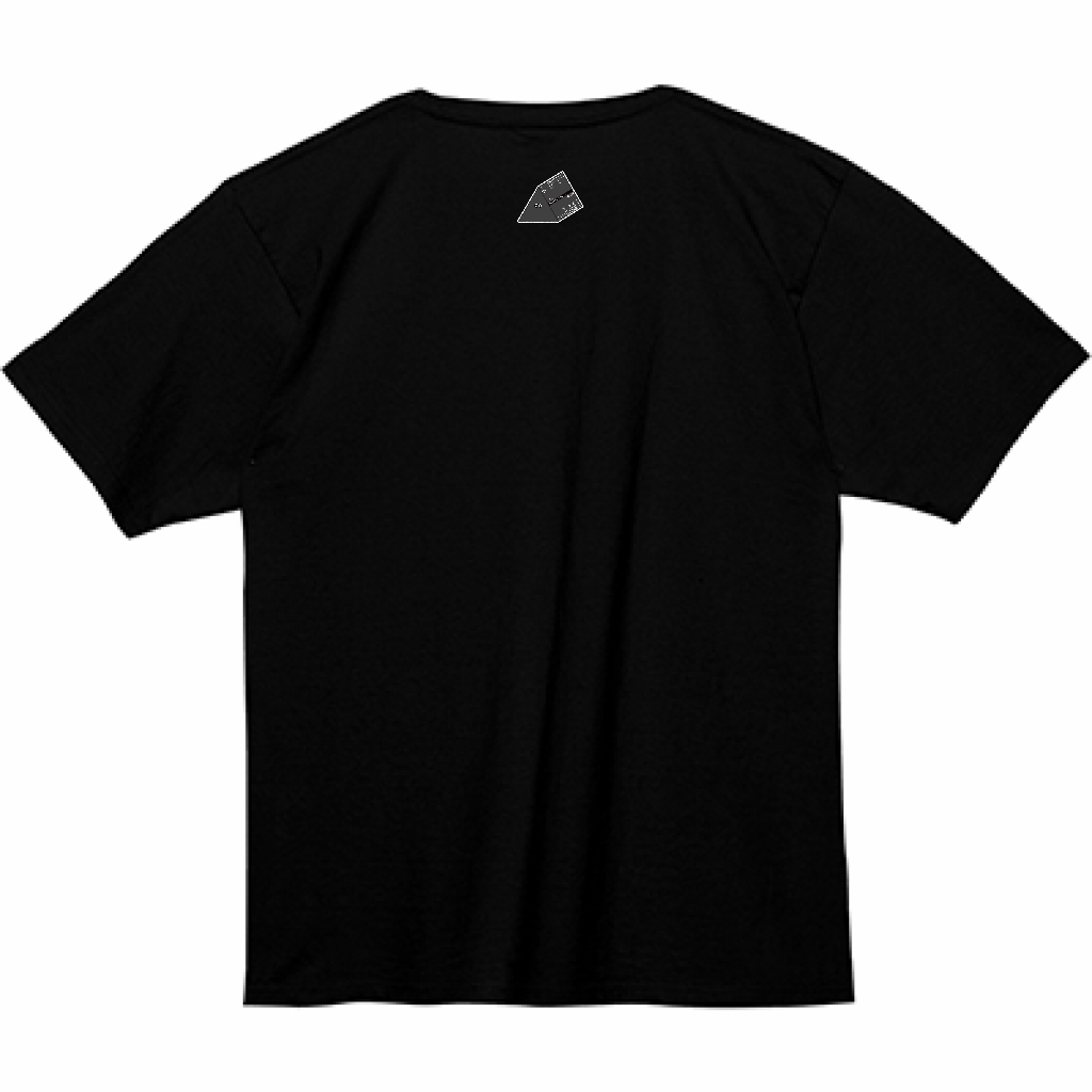 Tシャツ②（左胸・背中プリント）